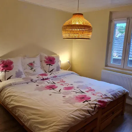 Les Chouchous Du Ried 2 Apartment Saasenheim